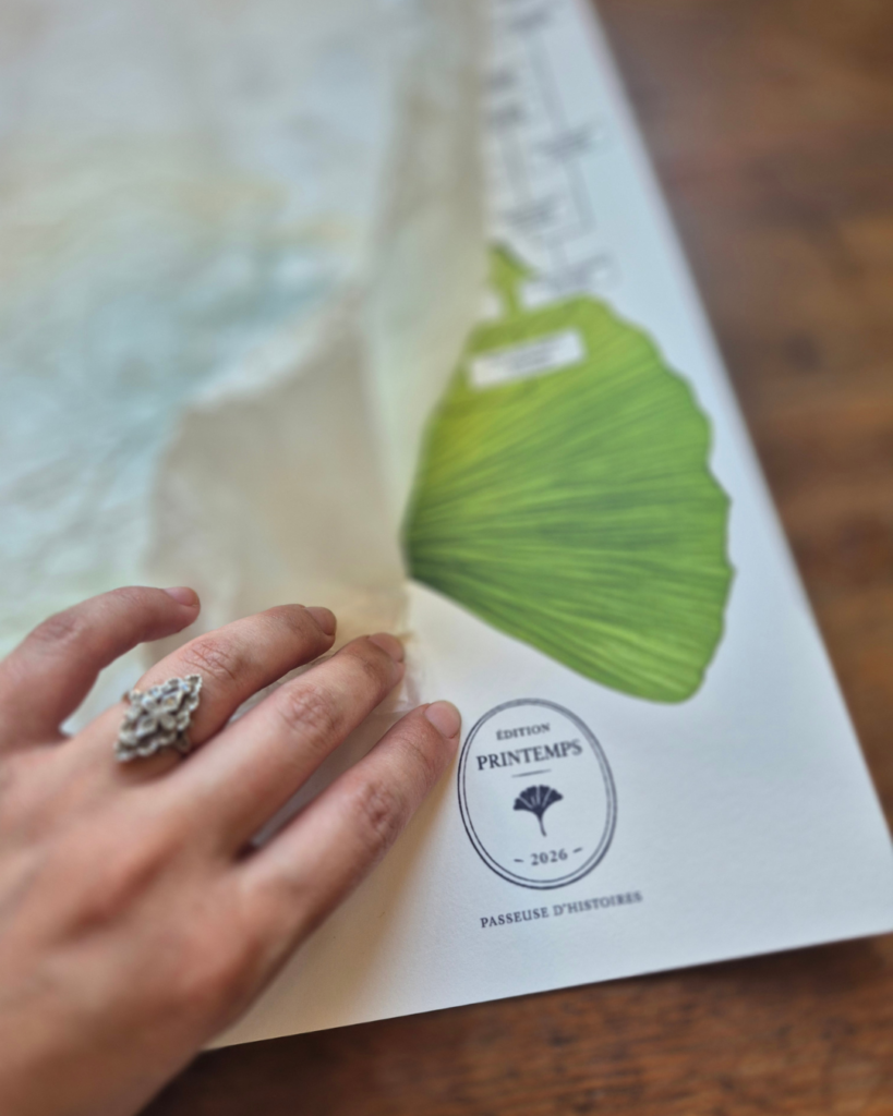 Arbre généalogique personnalisé – Édition Été Passeuse d'Histoires